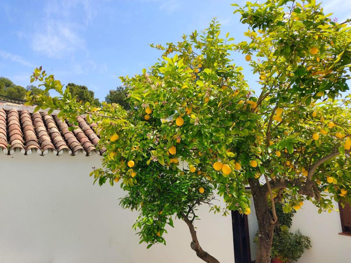 Casa El Patio Del Limon, Con Piscina Villa Montecorto Luaran gambar