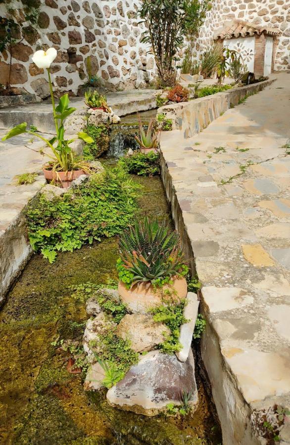 Casa El Patio Del Limon, Con Piscina Villa Montecorto Luaran gambar